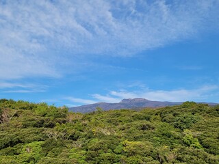 Fototapeta na wymiar Hallasan Mountain Jeju Island Korea Hallasan Mountain Landscape