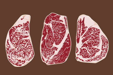 raw wagyu sirloin steak isolated on background.