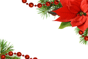 Christmas corner arrangements with pine twigs and poinsettia flower isolated on white or...