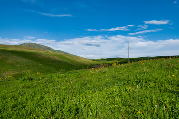 grass and sky