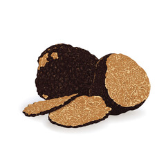 Black truffles isolated on a white background. Fresh sliced truffle. Delicacy exclusive truffle mushroom. on white background, vector illustration - obrazy, fototapety, plakaty