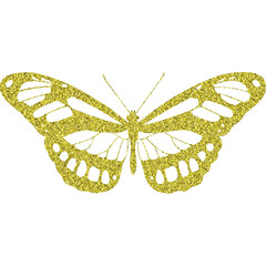 Glitter Butterfly Transparent background