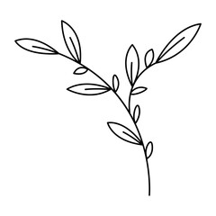 Plants doodle