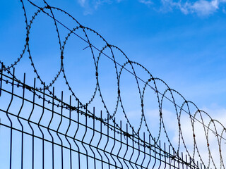 barbed wire against blue sky, freedom concept photo
