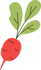 Beetroot flat icon Healthy organic farming vegetable