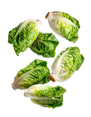 Flying lettuce