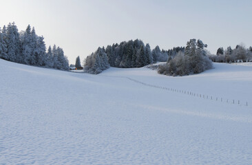 Naklejka premium Allgäuer Winterlandschaft bei Niedersonthofen.