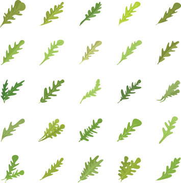 Arugula icons set flat vector. Leaf salad. Food arugula plant isolated