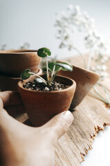 Holding Tiny Plant in Tiny Pot on Set