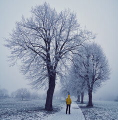 Eine Winterliche Landschaft mit Wiesen und Bäumen die von Schnee und Rauref bedeckt während Nebel...