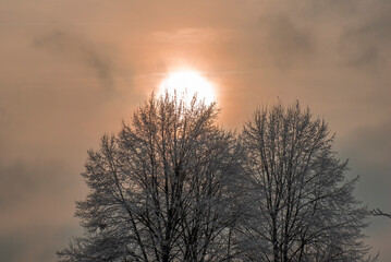 Obraz premium Pastellfarbene Sonne bei aufgelockerter Bewölkung über einer verschneiten Winterlandschaqft mit Bäumen
