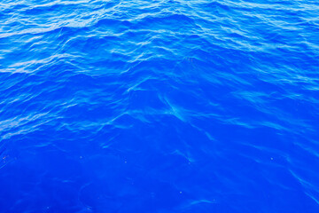 Fototapeta premium Very nice sea water background or backdrop with selective focus. Small waves of natural water surface texture.