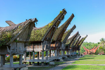 Tongkonan is a traditional house of the Toraja tribe which is usually used as a rice barn and a...
