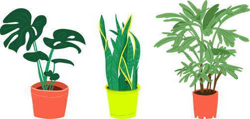 two vases with plants transparent background