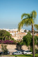 Fototapeta na wymiar Aerial view from Sour Meegazine in Tanger, Morocco