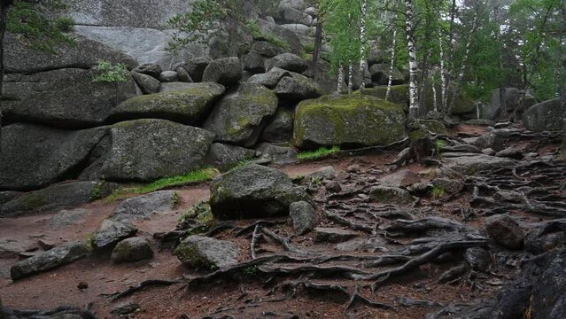 Unique rock sculptures Krasnoyarsk stolby. Giant stone pillars from the mountain and taiga forest, foggy morning