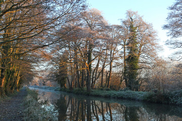 Winter reflections on the River Wey on a cold and frosty day.