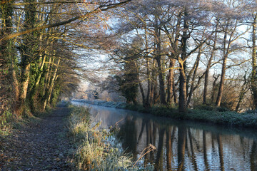 Winter reflections on the River Wey on a cold and frosty day.
