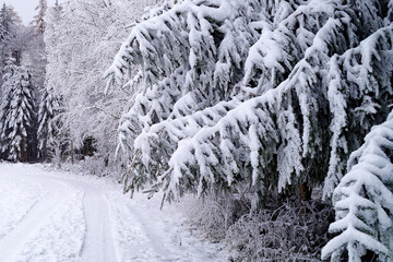 a wintery landscape of the scenic Bavarian countryside in Birkach with trees covered with snow and...