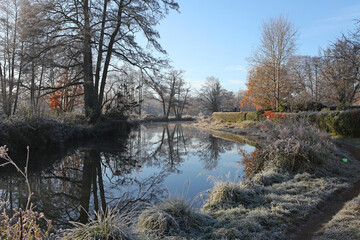 Winter reflections on the River Wey on a cold and frosty day.