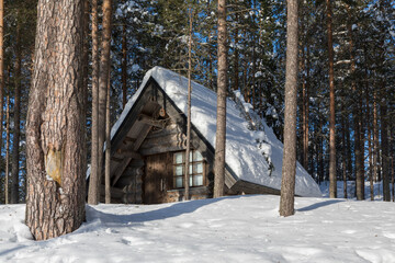 wooden house in the woods covered by snow