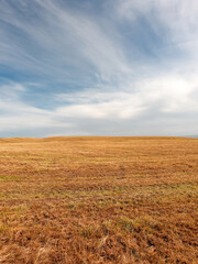 Fototapeta na wymiar Beautiful sky with cirrus clouds over farmlands. Agricultural field, stubble.