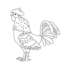 Rooster silhouette icon. Cockerel as a symbol or mascot for children's books, fashion design and postcards with lettering.