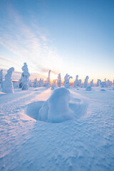 landscape with ice and snow