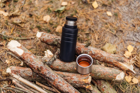 thermos with tea on pine firewood in forest mood
