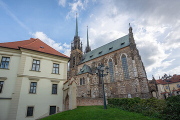 Cathedral of St. Peter and Paul - Brno, Czech Republic