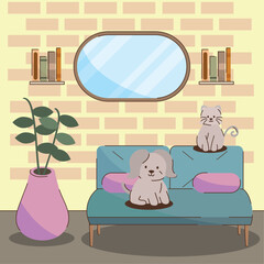 cute pets in the living room