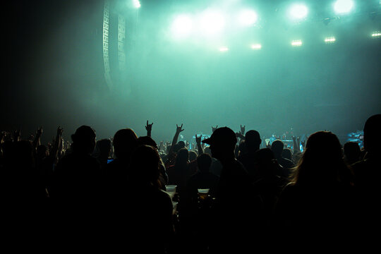 People in silhouette at a concert with green lighting and darkened foreground