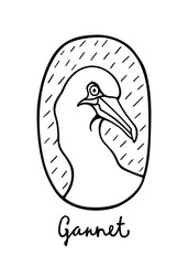 Vector card with hand drawn elegant Gannet in austere ellipse frame. Beautiful wild animal illustration, ink drawing, graphic style. Logo template