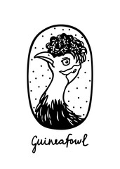 Vector card with hand drawn proud Crested Guineafowl in austere ellipse frame. Beautiful wild animal illustration, ink drawing, graphic style. Logo template