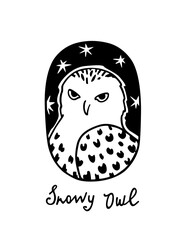 Vector card with hand drawn beautiful Arctic Owl on black starry background in austere ellipse frame. Beautiful wild animal illustration, ink drawing, graphic style. Logo template