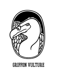 Vector card with hand drawn beautiful Griffon Vulture in austere ellipse frame. Beautiful wild animal illustration, ink drawing, graphic style. Logo template