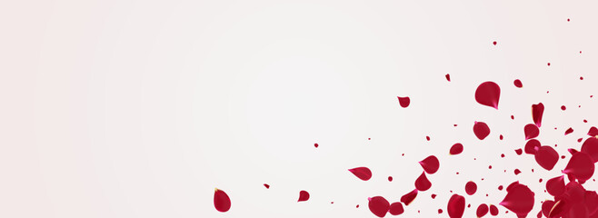 Pink Blossom Spring Vector Panoramic White