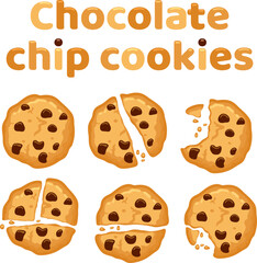 vector set of chocolate chip cookies