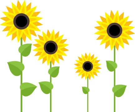 vector group of flowering sunflowers