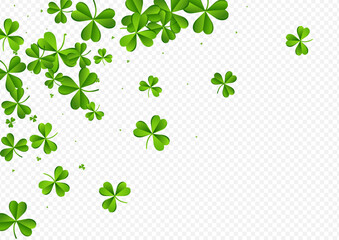 Green Clover Isolated Vector Transparent