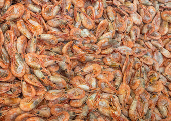 Close up view of frozen shrimps isolated. Healthy food concept. Sweden. 