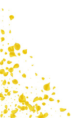 Gold Blossom Spring Vector White Background.