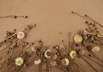 Dried poppies and strawflowers  on carton background. Winter or autumn floral design of garden flowers everlasting daisies Xerochrysum bracteatum and poppies.