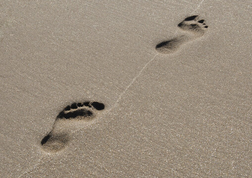 Footprints on a beach tide line; Bamburgh, Northumberland England