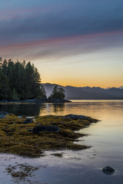 Dusk over Dodd Island in the Broken Group Islands, Pacific Rim National Park Reserve; British Columbia, Canada