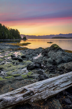 Dusk over Dodd Island in the Broken Group Islands, Pacific Rim National Park Reserve; British Columbia, Canada