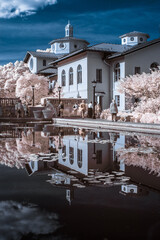 Infrared photography at the Brooklyn Botanic Garden - 555467428