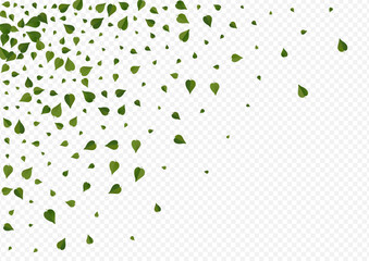 Forest Greens Organic Vector Transparent