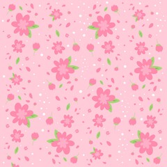 Flower pink  sakura