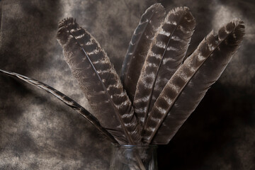 plumes d'ailes de faisan en bouquet